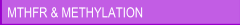 MTHFR & Methylation