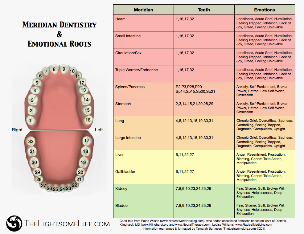 Tooth Meridian Chart